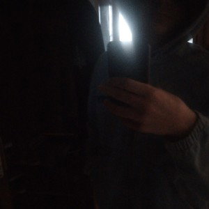 golliaths