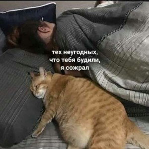 помогите СТНД)
