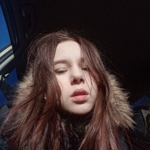 Дашундиль