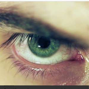 kBish_23:03