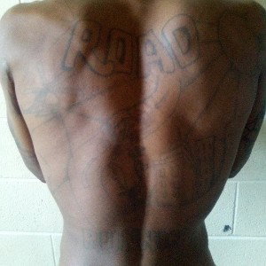BrickBoyz RoadRunnin Alpo