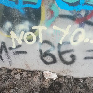 in the neighborhood 