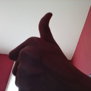 freestyle /mon retour des freestyle