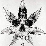 main
crew star