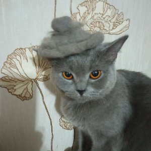 ПАПИН ТАНК