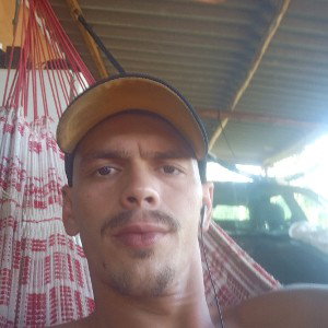 política brasileira