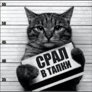 злой пёс охуел