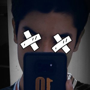 شاخ شکن