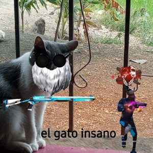flou suabe