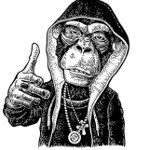 main
crew star