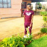 main
crew star