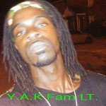 main
crew star
