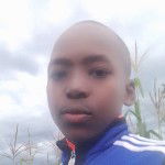 main
crew star