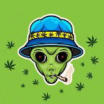 main
crew star
