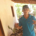 main
crew star