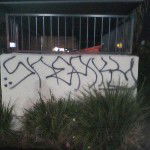 main
crew star