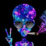 main
crew star