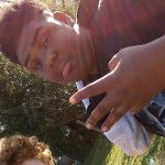 main
crew star