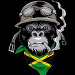 main
crew star