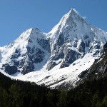Mountain Twin