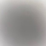 Testsubject1