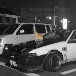 main
crew star