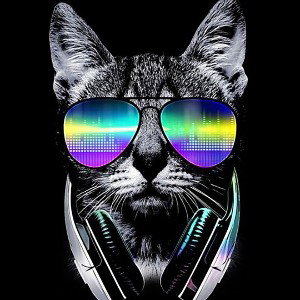 RiLLAKiLLA_-_shape_of_u_beat_freestyle_