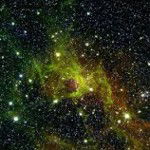 main
crew star