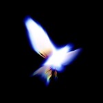 RAHAMAN🧸🪖
