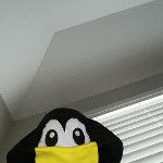 Penguinmoney