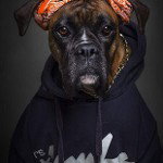 main
crew star