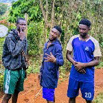 main
crew star