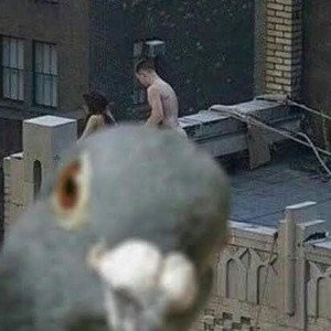 неведомый уебок