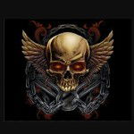 main
crew star